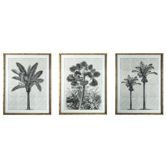 Palm Frame Glass Print