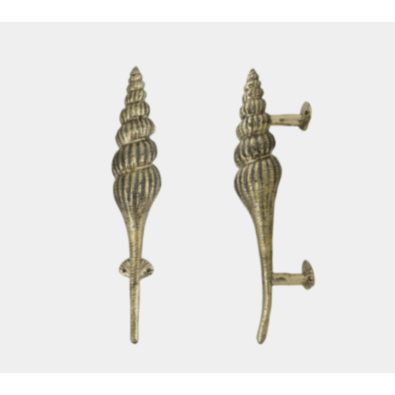 Door handle - polished brass conch